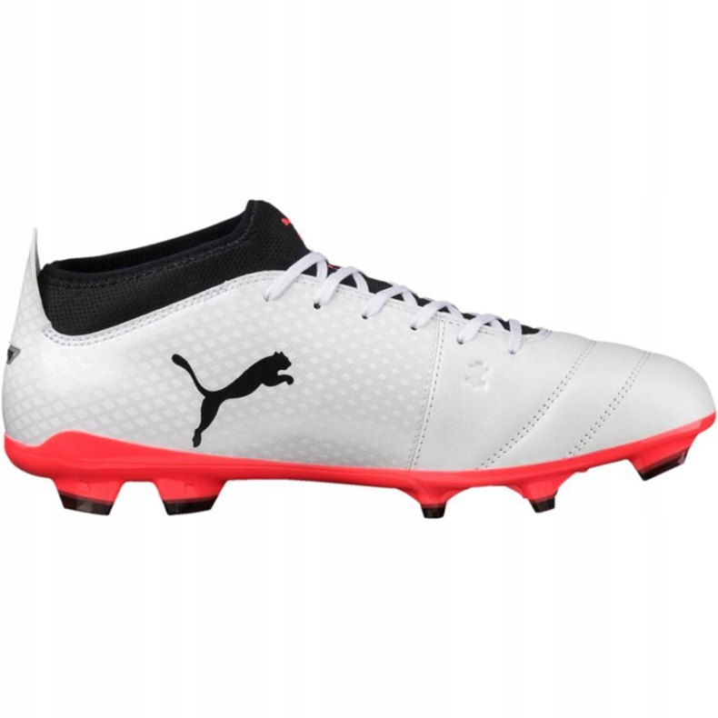 Botas de fútbol Puma One 17.3 Fg 104074 01 negro blanco 1