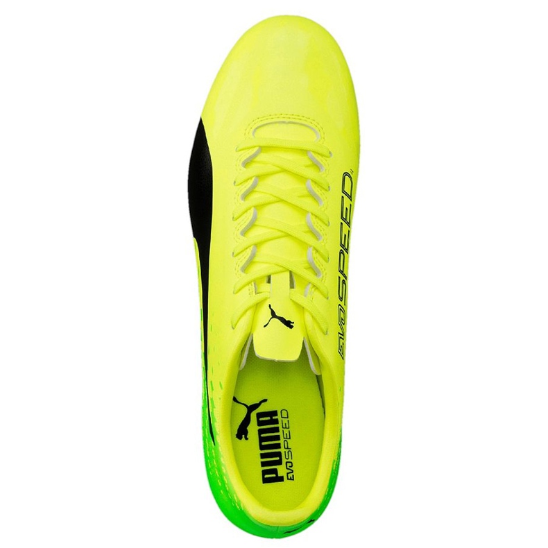 Botas de fútbol Puma Evo Speed ​​17.4 Fg amarillo-verde 104017 01 multicolor 2