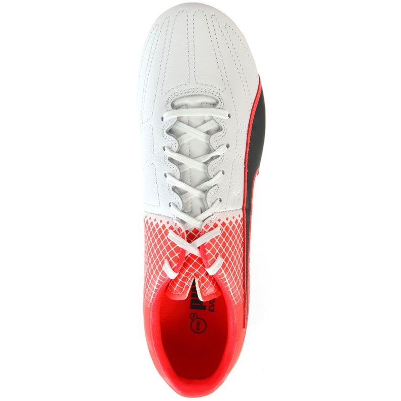 Botas de fútbol Puma Evo Speed ​​3.5 Fg Leather 103794 01 azul, blanco, negro multicolor 1