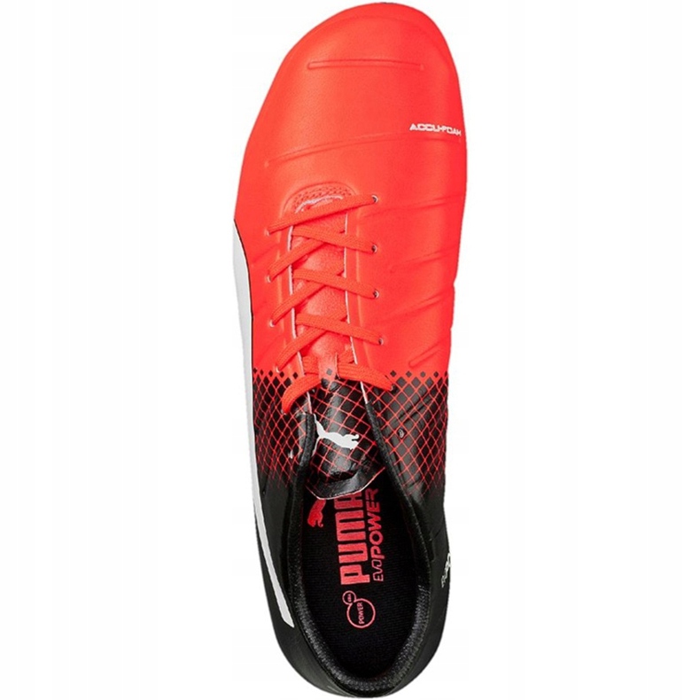Botas de fútbol Puma Evo Power 2.3 Fg 103853 01 negro negro 2