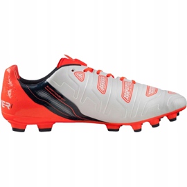Botas de fútbol Puma Evo Power 1.2 Ag 103213 05 gris 1