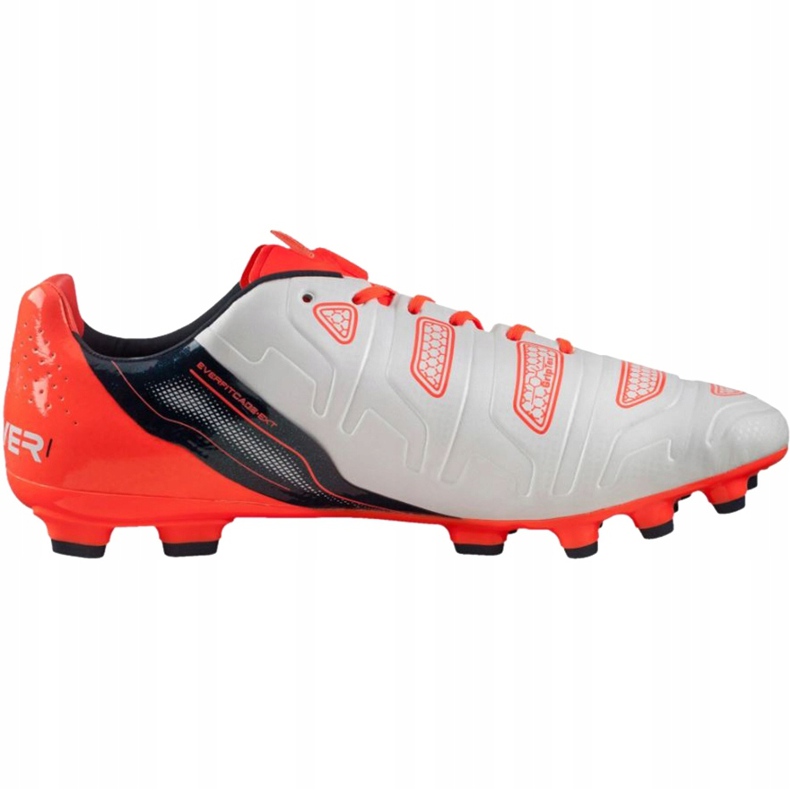 Botas de fútbol Puma Evo Power 1.2 Ag 103213 05 gris 1