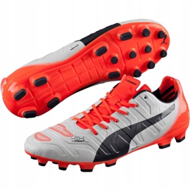 Botas de fútbol Puma Evo Power 1.2 Ag 103213 05 gris 3