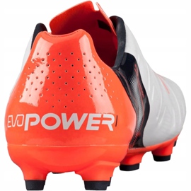 Botas de fútbol Puma Evo Power 1.2 Ag 103213 05 gris 4