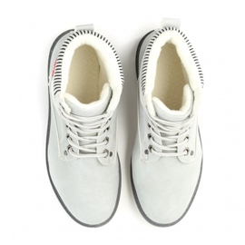 Vices Mordazas T071-5 Gris 2