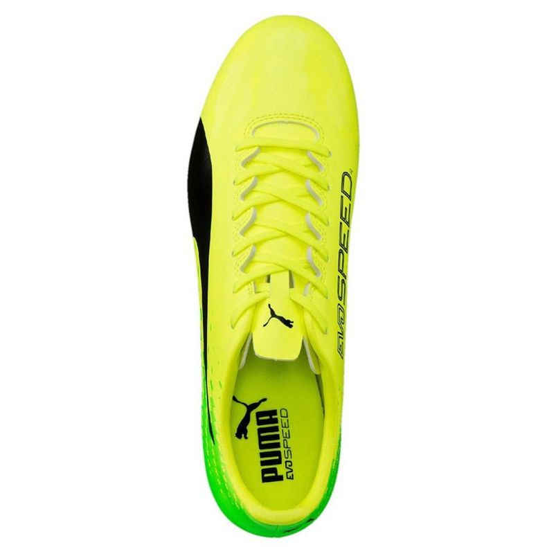 Botas de fútbol Puma Evo Speed ​​17.4 Fg M 104017 01 verde 1
