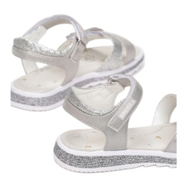 Vices Mordazas 5SD734-441-gris / plateado plata 2