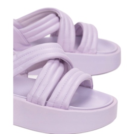 Vices Mordazas MULANKA-2259-66-violeta 1