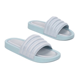 Vices Mordazas 55-113-51-azul 1 Vices Mordazas 55-113-51-azul 1