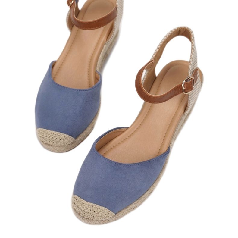 Vices Mordazas BL300-SS221-51-azul 1 Vices Mordazas BL300-SS221-51-azul 1