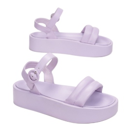 Vices Mordazas 2257-66-violeta 2