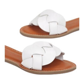 Vices Mordazas LS225-71-blanco 1