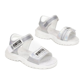 Vices Mordazas C-T9231-52-plata 2