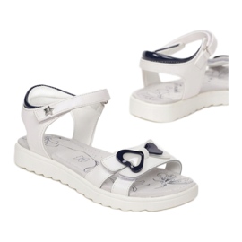 Vices Mordazas B-3156-101-blanco / azul 1 Vices Mordazas B-3156-101-blanco / azul 1