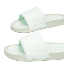 Vices Tornillos CD209-61-verde 1 Vices Tornillos CD209-61-verde 1