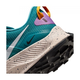 Zapatillas de running Nike Pegasus Trail 3 M DA8697-300 azul 1