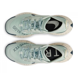 Zapatillas de running Nike Pegasus Trail 3 Gtx W DC8794-003 verde 1