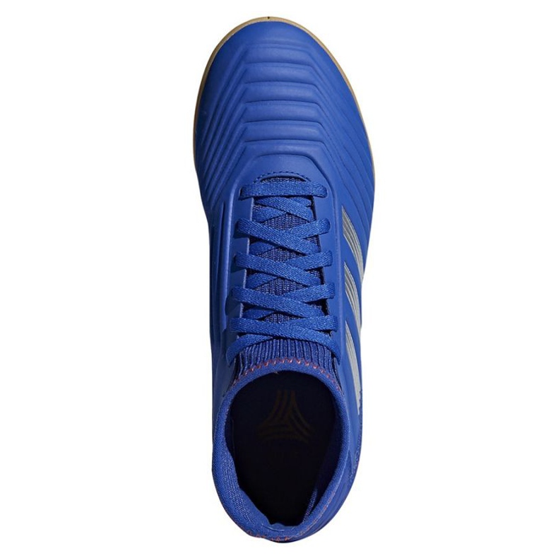Zapatos de interior adidas Predator 19.3 In Jr CM8543 multicolor azul 1