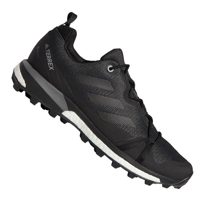 Zapatos adidas Terrex Skychaser Lt Gtx M F36099 negro 1