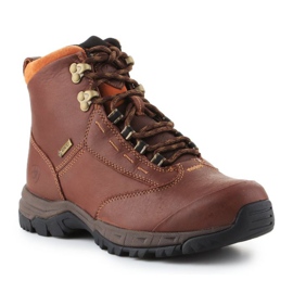 Zapatos Ariat Berwick Gtx W 10016298 marrón 1