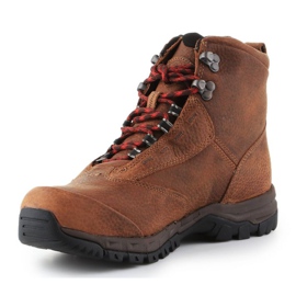 Zapatos Ariat Berwick Gtx W 10016299 marrón 3