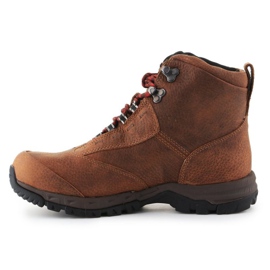Zapatos Ariat Berwick Gtx W 10016299 marrón 4