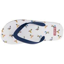 Chanclas Levi's Dixon 2.0 229817-626-117 blanco azul marino azul 2