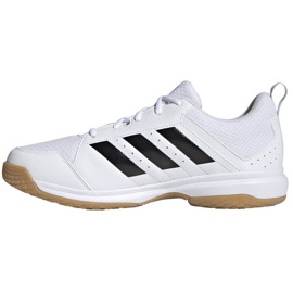 Zapatillas de voleibol Adidas Ligra 7 M GZ0069 blanco blanco 1
