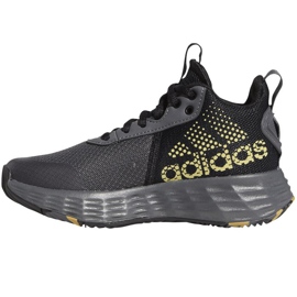 Zapatillas de baloncesto Adidas OwnTheGame 2.0 GZ3381 gris tonos de gris 1