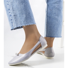 Bailarinas plata semitransparente raglan 2
