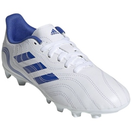 Botas de fútbol adidas Copa Sense.4 FxG Jr GW7400 blanco 2