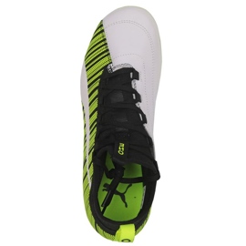 Botas de fútbol Puma One 5.3 Hg M 105647 02 verde verde 1