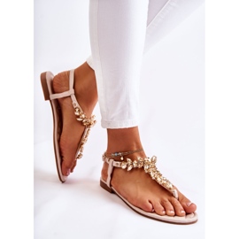 PG2 Sandalias De Mujer Chanclas Con Cinturón Decorativo Beige Luz Del Día 4