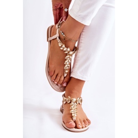 PG2 Sandalias De Mujer Chanclas Con Cinturón Decorativo Beige Luz Del Día 1
