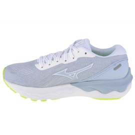 Zapatillas Mizuno Wave Skyrise 3 J1GD220901 gris 1