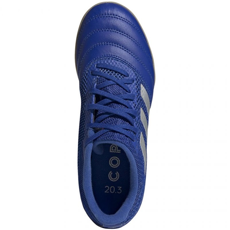 Botas de fútbol Adidas Copa 20.3 In Sala Jr EH0906 plata, azul azul 1