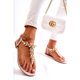 PG2 Sandalias De Mujer Chanclas Con Cinturón Decorativo Beige Luz Del Día 3