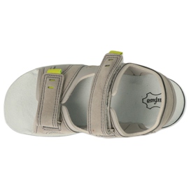 Zapatos befado niño 066X102 gris 5
