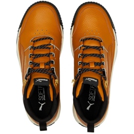 Puma Tarrenz Sb Ii M 386392 02 marrón 1