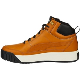 Puma Tarrenz Sb Ii M 386392 02 marrón 2