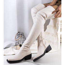 PA1 Botas beige Delore 2 PA1 Botas beige Delore 2