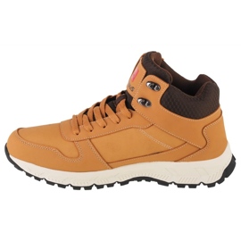 Zapatos Campus Norden CM0101321330 marrón 1