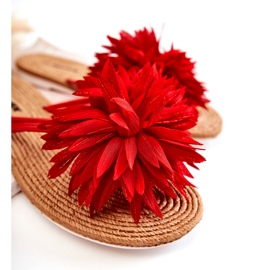 WJ1 Chanclas de mujer con adorno de tela Eviana rojo 1