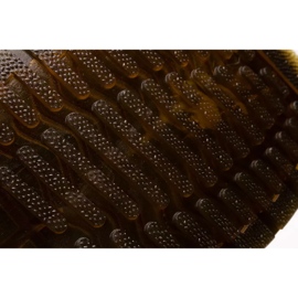Lee Cooper LCJ-22-31-1439L zapatos de mujer blanco 7