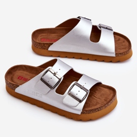 Pantuflas Clásicas Mujer Big Star LL274476 Plata 1