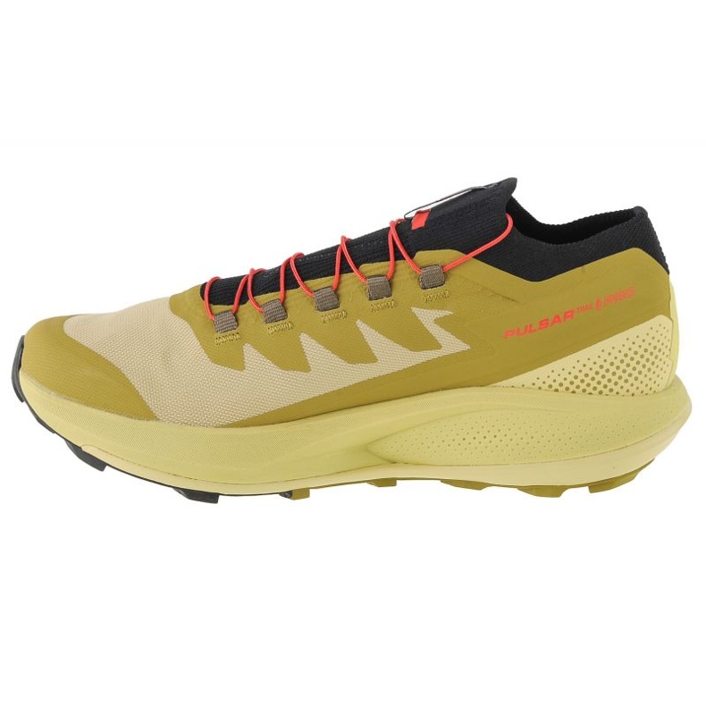 Zapatos Salomon Pulsar Trail-Pro M 415936 verde 1