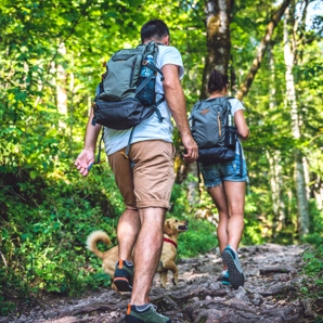 Te aconsejamos qué calzado elegir para dar un paseo por el bosque