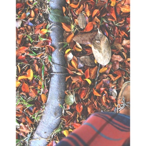¿Cómo deben ser unos buenos zapatos para el otoño?