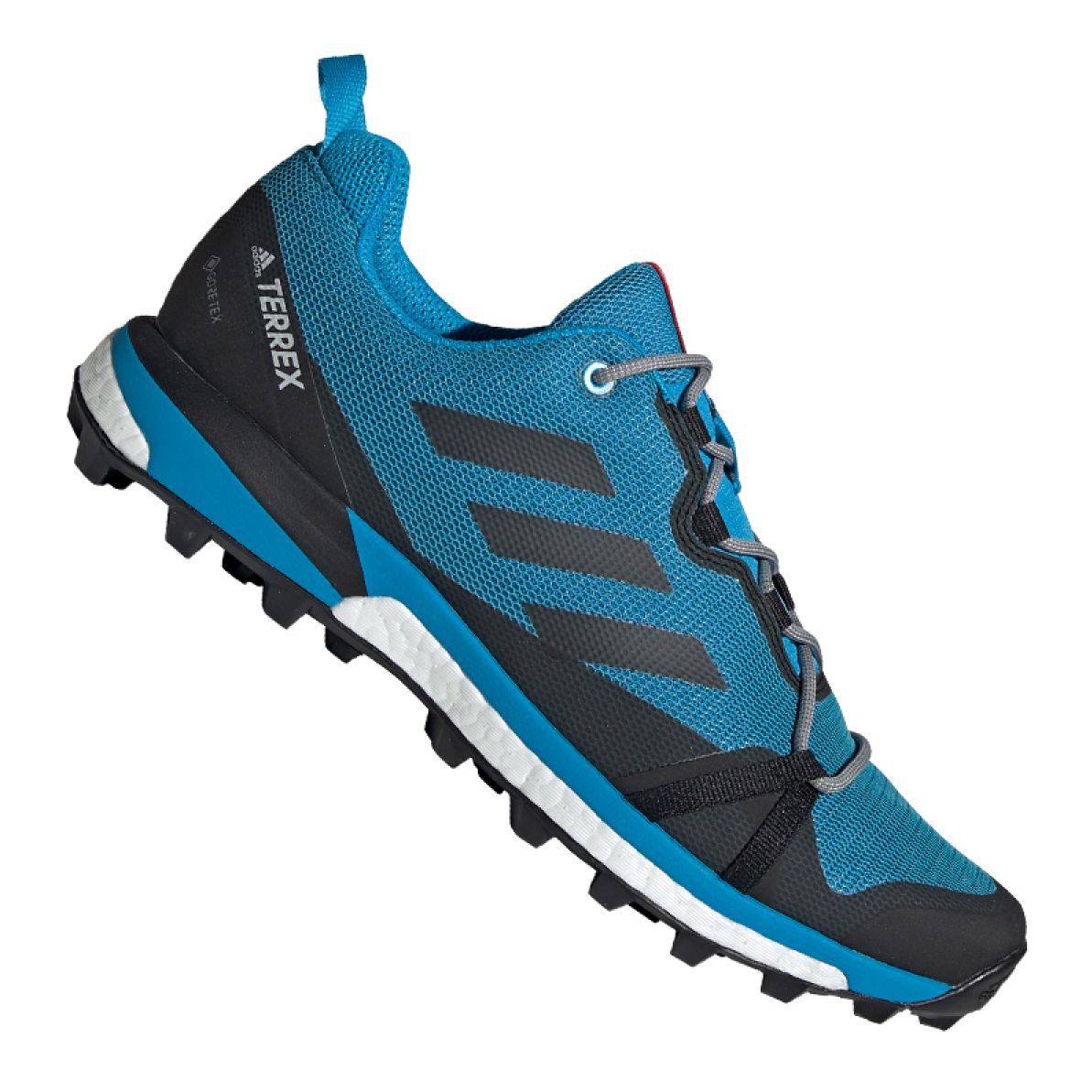 adidas terrex gtx hombre